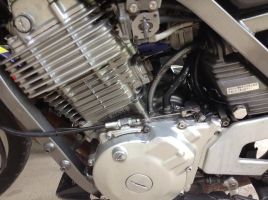 ขาย Yamaha srx600 cc ราคาถูก