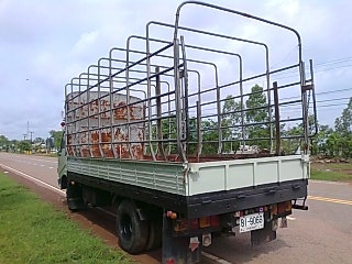 ขาย HINO KM779 เครื่อง WO4D 117 แรงม้า กระยาว 5.50 ม เครื่องดีคัชซีสวย ยางเลเดี้ยน 6 เส้น