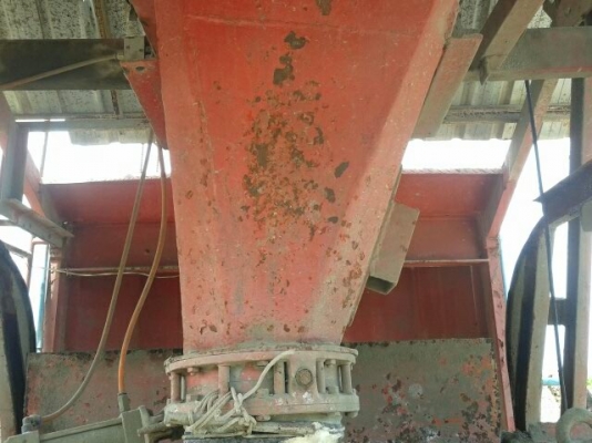 ขายแพล้นปูน  ครึ่งคิว  สนใจติดต่อ 081 - 6079515