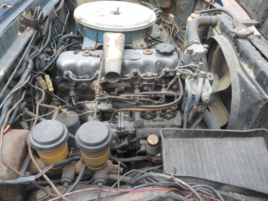 ขายอีซุซุหน้าหนู