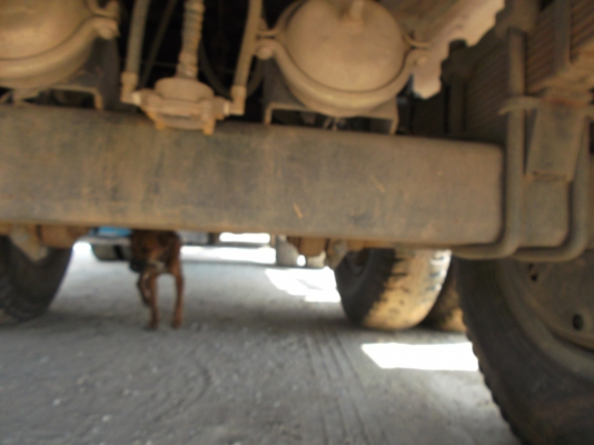 ขายด่วนรภ24ล้อDAGA270ปี47ดรั้มเกษตรแม่ลูก3คาล