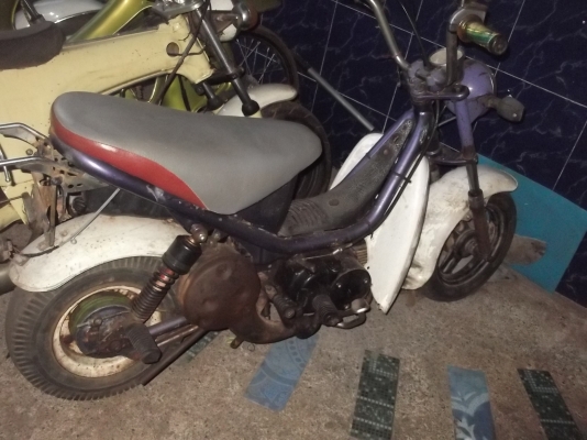 ซิปปี้ เครื่อง ไนท์ คลัสมือ มีทะเบียน