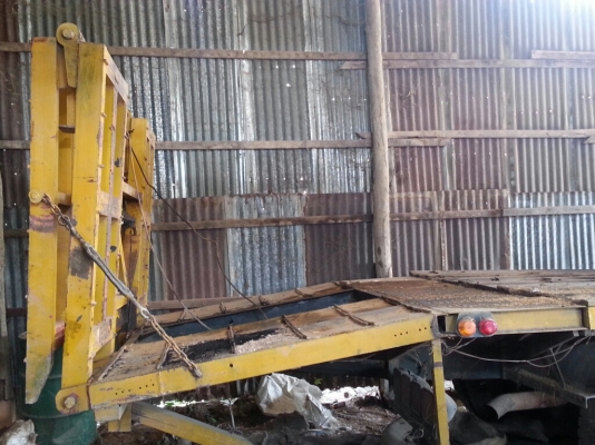 เทเลอร์หน้ายาวขายด่วน4แสน