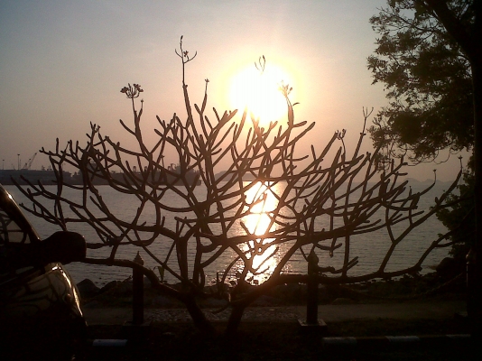 ขายnissan big m cab ลกได้ครับ