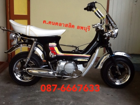 ขายชาลี,,,ลพบุรี