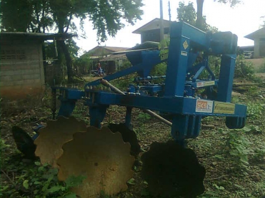 ขายหางสับใบ ศรีกำแพงแสน