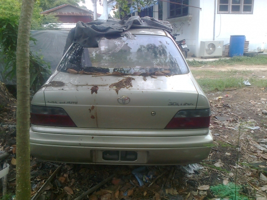 ขายตัดตูดโซรูน่าปี99สภาพบางๆจากโรงงาน รถชนแต่ด้านหน้า ด้านหลังสวยบางๆมากครับให้หมดตามรูปหรือจะให้ตัดให้สั้นลงก็ได้ เพื่อสดวกในการขนย้าย