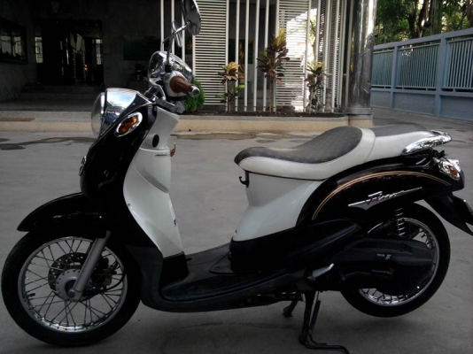 ขอขาย ฟีโน่ รถพร้อมใช้งาน ด่วน ๆ