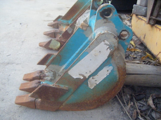 บุ้งกี๋เล็ก