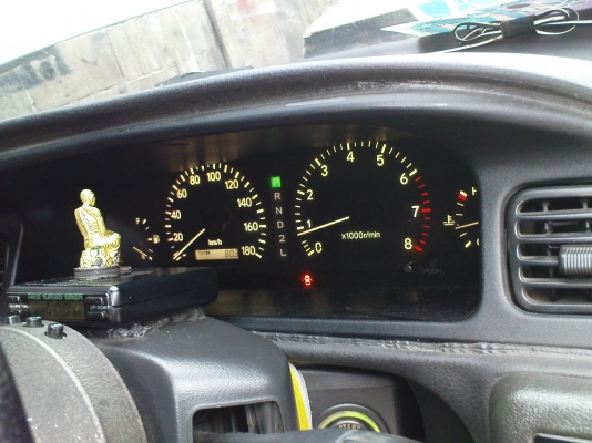 ขายสักตัว nissan cefiro