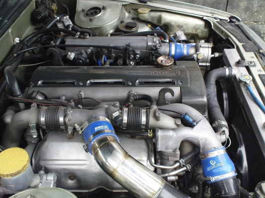 ขายสักตัว nissan cefiro