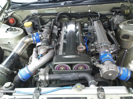 ขายสักตัว nissan cefiro