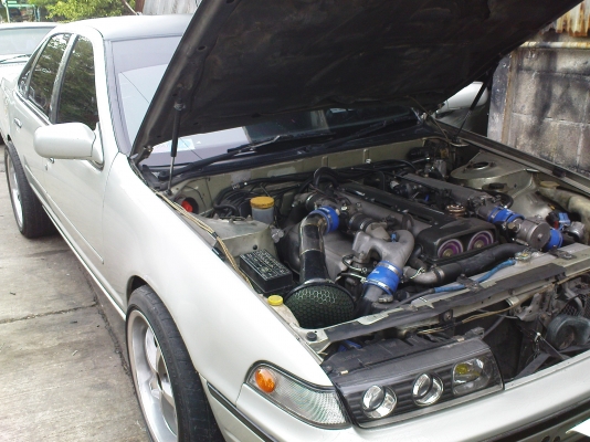 ขายสักตัว nissan cefiro