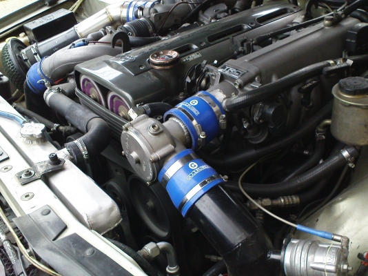 ขายสักตัว nissan cefiro