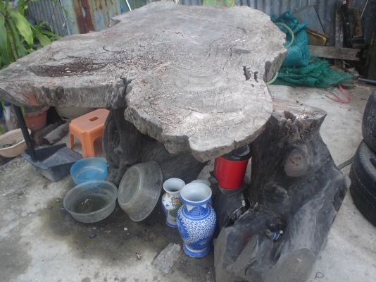 ตอไม้มะค่า เก่าแสนเก่าทน  จัดสวน   จัดบ้าน  งามๆๆเข้าตา