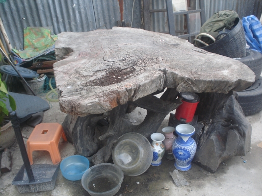 ตอไม้มะค่า เก่าแสนเก่าทน  จัดสวน   จัดบ้าน  งามๆๆเข้าตา