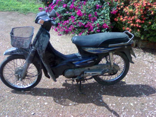 ขายไปแล้ว ดรีม100ปี36