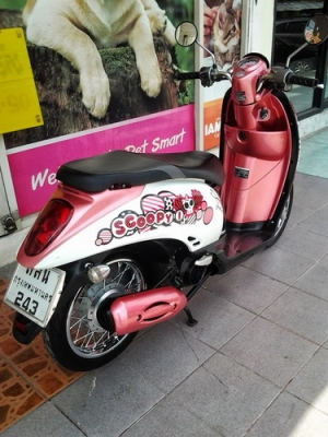ขาย Scoopy-i หัวฉีดประหยัดน้ำมัน สวยๆเครื่องเดิมๆราคาถูกๆครับ