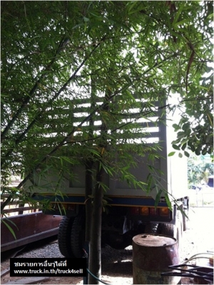 ขาย NISSAN CW41 TURBO 10 ล้อ 2 เพลาดั๊ม