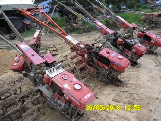 ขายหางสยามNC131