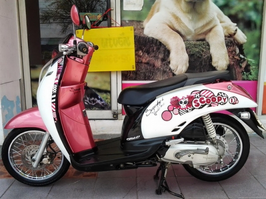 Scoopy-i หัวฉีดประหยัดน้ำมัน สวยๆเครื่องเดิมๆราคาถูกๆครับ