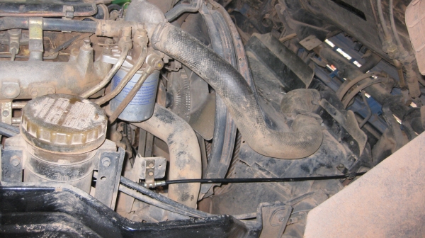 ขายถูกๆ ขายถูกๆ