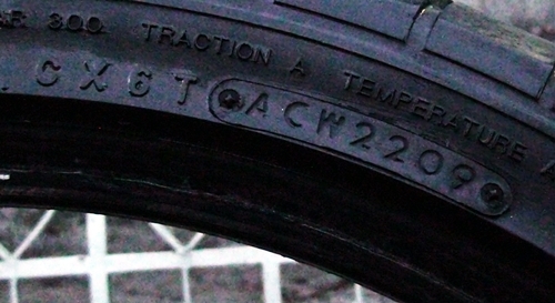 ยางนิดโตะ