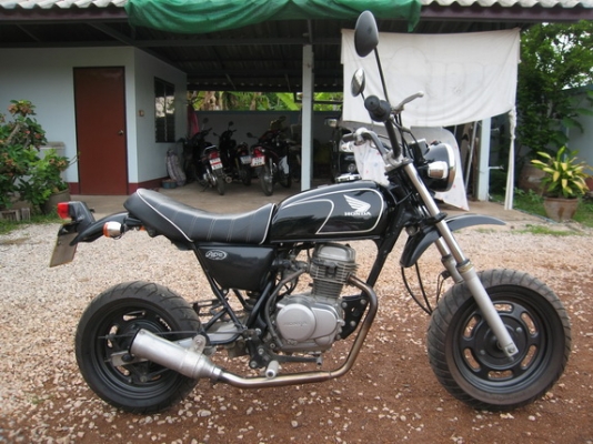 ขายรถ Honda APE50 ตามสภาพพร้อมใช้งาน สตาร์ททีเดียวติด    ใช้ดีประหยัดน้ำมันมาก