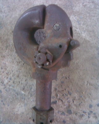 ตะขอรากจูงตัวใหญ่ครับ ตะขอรากจูงตัวใหญ่ครับ