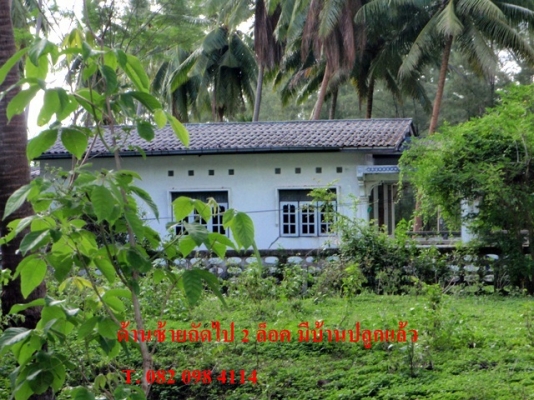 ขายด่วน! ที่ดินใกล้ทะเล ตรงข้ามเกาะทะลุ (หาดส่วนตัว โครงการหาดในฝัน)