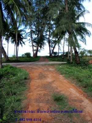ขายด่วน! ที่ดินใกล้ทะเล ตรงข้ามเกาะทะลุ (หาดส่วนตัว โครงการหาดในฝัน)