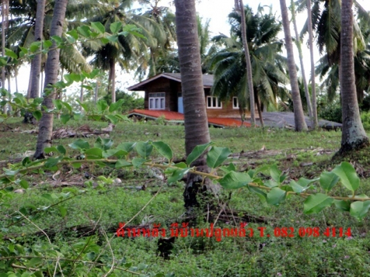 ขายด่วน! ที่ดินใกล้ทะเล ตรงข้ามเกาะทะลุ (หาดส่วนตัว โครงการหาดในฝัน)
