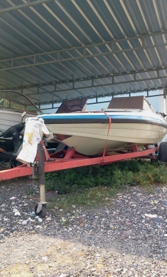 ขายเรือเปล่า seat boat 155 +เทลเลอร์+พวงมาลัย