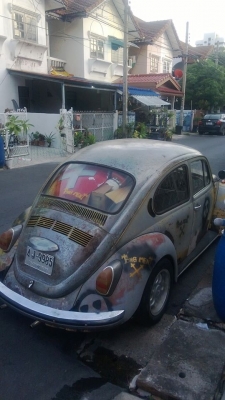 ขายเต่าทางไกลได้สะบาย ขายเต่าทางไกลได้สะบาย