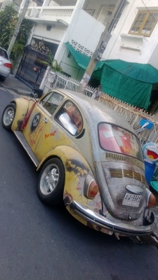 ขายเต่าทางไกลได้สะบาย ขายเต่าทางไกลได้สะบาย