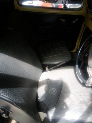 ขายเต่าทางไกลได้สะบาย ขายเต่าทางไกลได้สะบาย