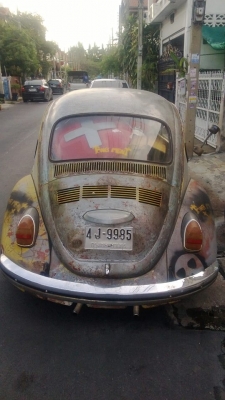 ขายเต่าทางไกลได้สะบาย ขายเต่าทางไกลได้สะบาย