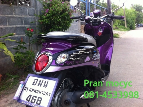 ขายfinoสีม่วงดำ ปี2555 ขายfinoสีม่วงดำ ปี2555