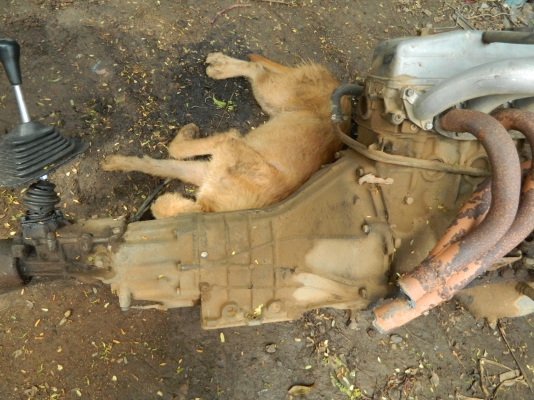 4D56 L200 มาสวยๆ