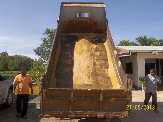 ขาย6ดั้มพร้อมใช็