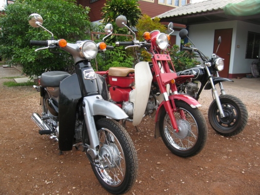 ขายรถ Honda APE50 , Little Cub 14 และMD90 ตามสภาพพร้อมใช้งาน  มีคลิปเครื่องยนต์ครับ