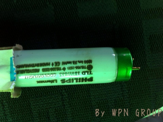 ขายหลอดไฟPhilipsราคาถูกมาตรฐาน มอก.