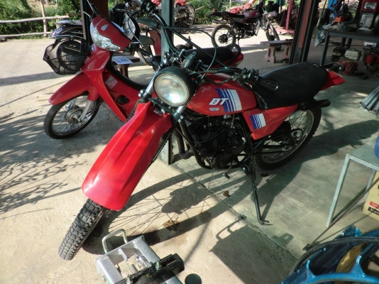 dt 125 อาร์มกลม ทะเบียนคับ