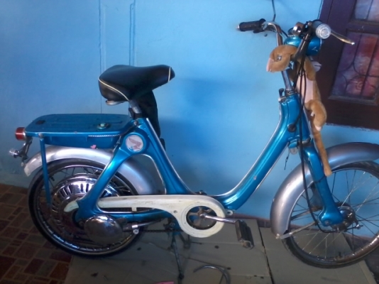 ขาย/แลก ฮอนด้า ลิตเติ้ล และ สตรีทเมจิกเครื่องมีโอ