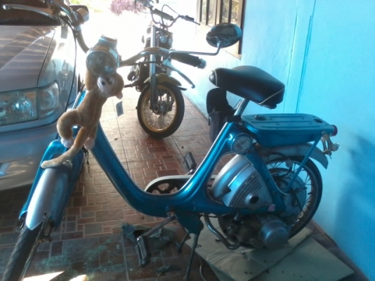 ขาย/แลก ฮอนด้า ลิตเติ้ล และ สตรีทเมจิกเครื่องมีโอ