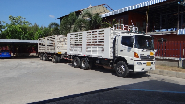 ขาย Hino Mega 380 แม่ลูกไม่ดั้ม
