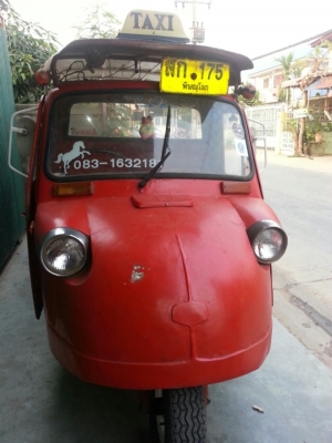 ขายตุ๊กตุ๊กหน้ากบ ขายตุ๊กตุ๊กหน้ากบ