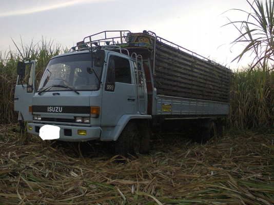 ขายROCKY165แรงเครื่อง6BD1 ขายROCKY165แรงเครื่อง6BD1