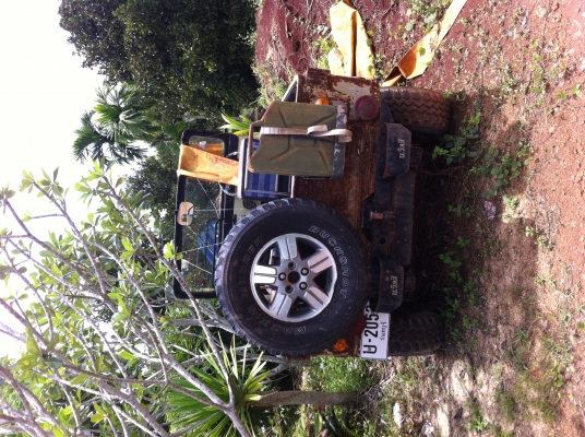 ขายจิ๊บ CJ 6. ราคาใหม่