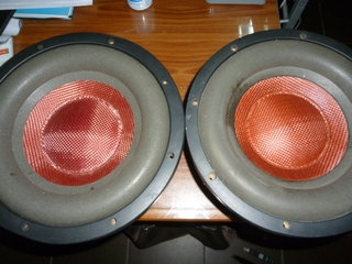 10" SAMMI RED ROSE I